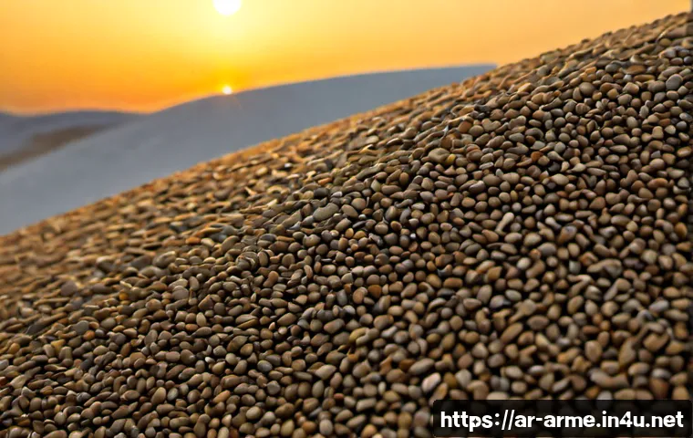 أشهر الرقصات الشعبية الأرمنية: الأنواع ودلالاتها وكيف تختار عرضاً أو درساً مناسباً 4 아르메니아 민속춤 종류 관련 이미지 2